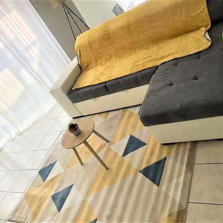 Le Petit Loup Palois - Terrasse & Wifi Fibre Apartment Pau Bagian luar foto