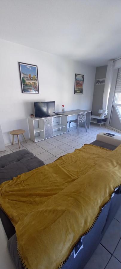 Le Petit Loup Palois - Terrasse & Wifi Fibre Apartment Pau Bagian luar foto