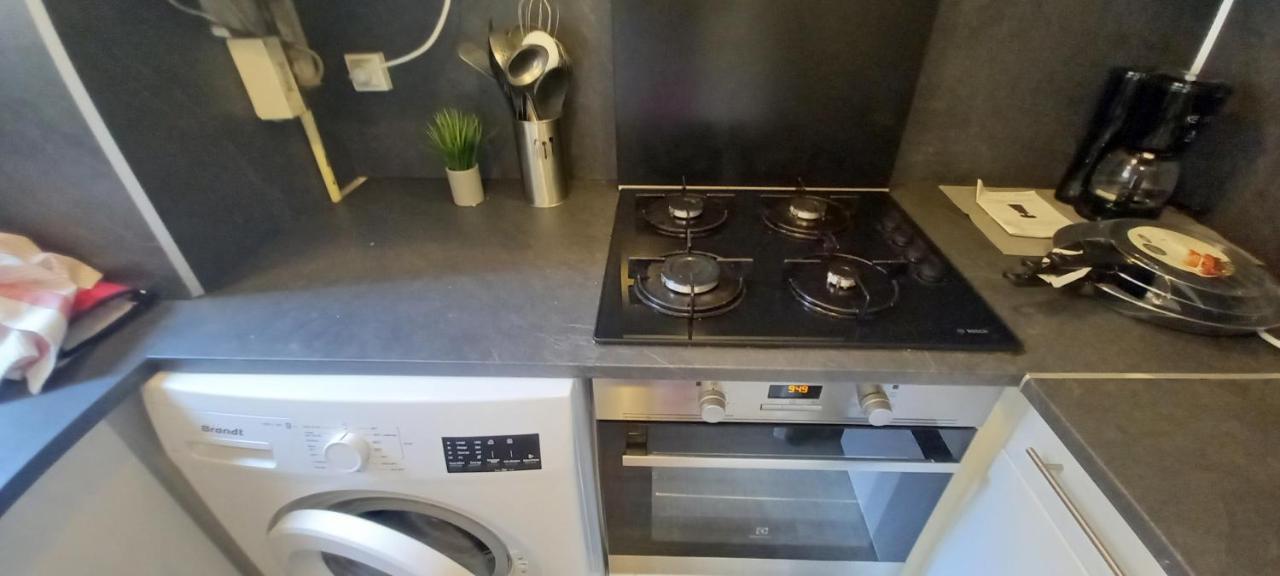 Le Petit Loup Palois - Terrasse & Wifi Fibre Apartment Pau Bagian luar foto