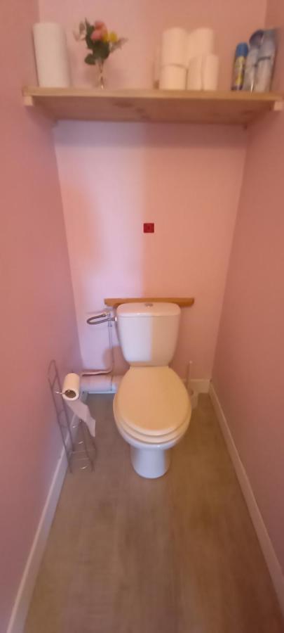 Le Petit Loup Palois - Terrasse & Wifi Fibre Apartment Pau Bagian luar foto