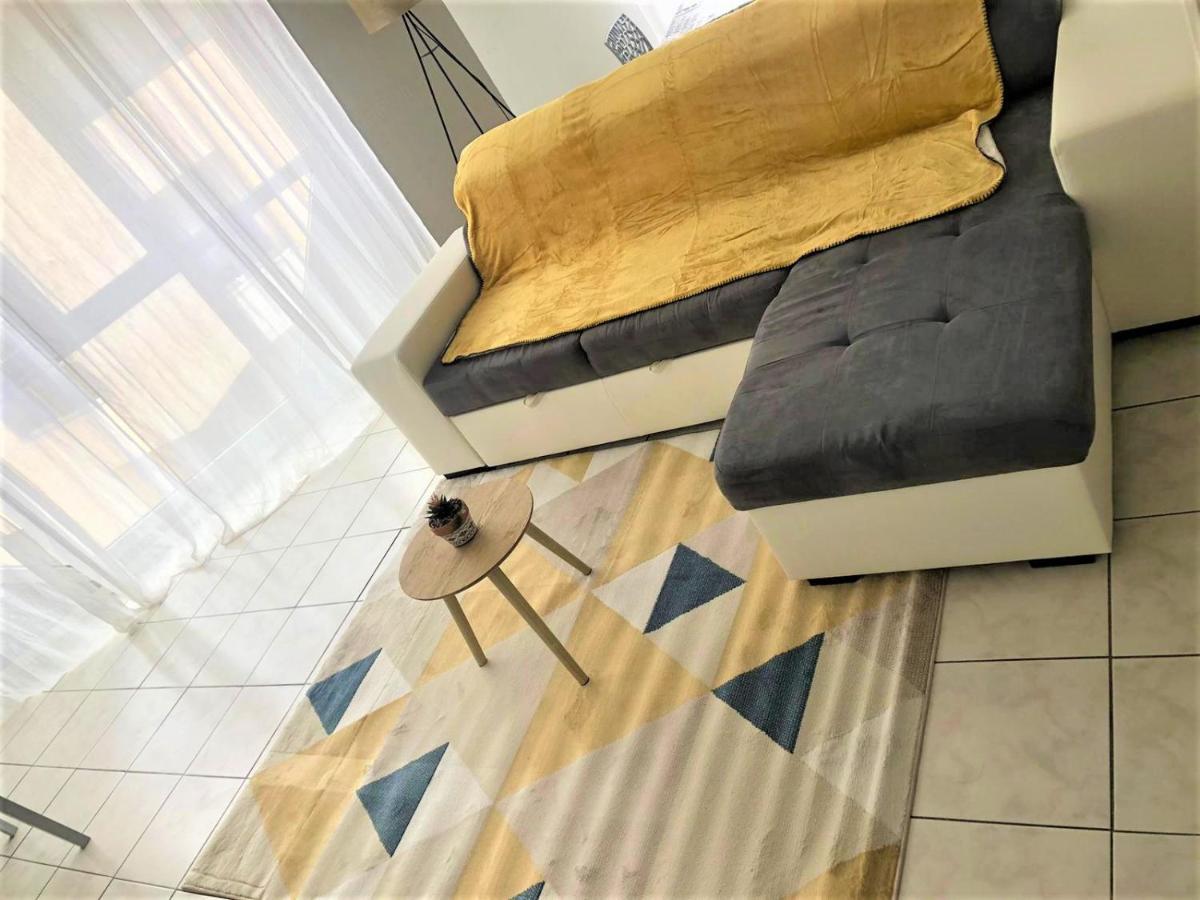 Le Petit Loup Palois - Terrasse & Wifi Fibre Apartment Pau Bagian luar foto